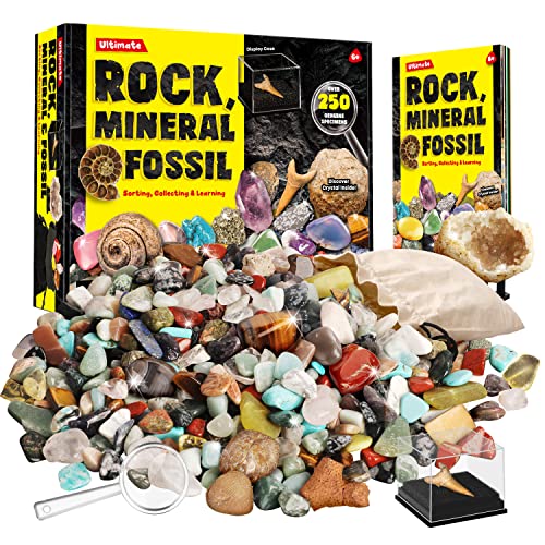 XX Edelsteine und Fossilien Set für Kinder - 250 Steine Set Mit Unterschiedlich Kristalle, Mineralien, Geoden, Edelsteine, Fossilien - Edelsteinsammlung Spielzeug Junge Mädchen 6 7 8 9 10 11 12 Jahre XX Edelsteine und Fossilien Set für Kinder - 250 Steine Set Mit Unterschiedlich Kristalle, Mineralien, Geoden, Edelsteine, Fossilien - Edelsteinsammlung Spielzeug Junge Mädchen 6 7 8 9 10 11 12 Jahre von XX