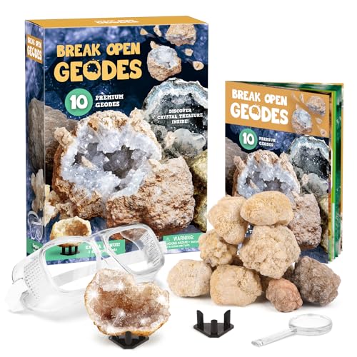 Geoden Zum Aufbrechen Set Kinder - Mit 10 Groß Geoden Steine - Experimentierkästen für Kinder 5 6 7 - Wissenschaftsspielzeug Geschenke für Junge Mädchen 8 9 10 11 12 Jahre Geoden Zum Aufbrechen Set Kinder - Mit 10 Groß Geoden Steine - Experimentierkästen für Kinder 5 6 7 - Wissenschaftsspielzeug Geschenke für Junge Mädchen 8 9 10 11 12 Jahre von XX