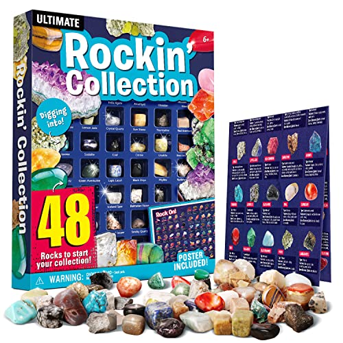 Edelsteine Set für Kinder - Sammeln 48 Stück Kristalle - Perfekt Kindergeburtstag Mitgebsel Gastgeschenke Set Mädchen Jungen 6 7 8 9 10 11 12 Jahre Edelsteine Set für Kinder - Sammeln 48 Stück Kristalle - Perfekt Kindergeburtstag Mitgebsel Gastgeschenke Set Mädchen Jungen 6 7 8 9 10 11 12 Jahre von XX
