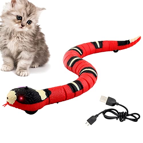 Spielzeugschlange Katze, XiXiRan Schlangenspielzeug Elektrisches, Katzenspielzeug Schlange Usb, Schlangen Spielzeug, Katzenspielzeug Schlange Interaktives, Smart Sensing Schlangen Spielzeug (Schlange) von XiXiRan