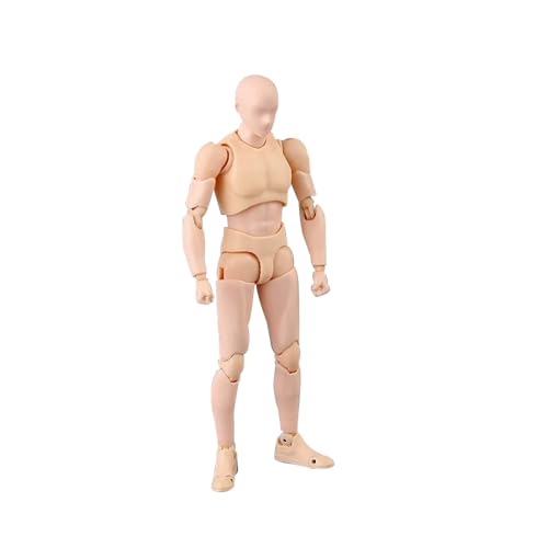 Xinchangda Zeichenfiguren Modellkünstler Manikin Body Actionfiguren mit Ständer & Zubehör bewegliche Gelenke Menschliche Mannequin Mann Frau zum Skizzieren Malen von Xinchangda