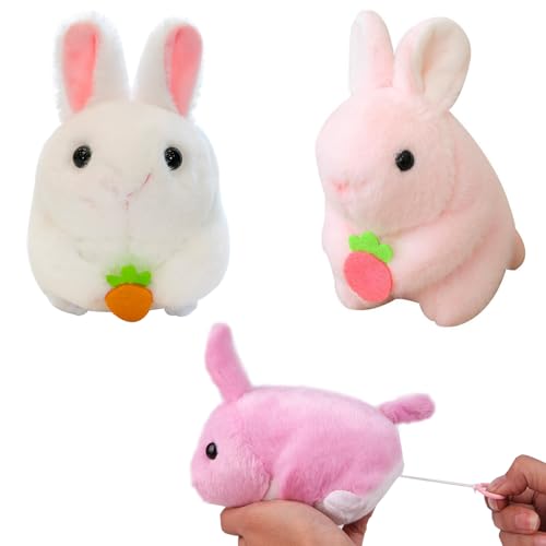 XineYuor Aufziehspielzeug Ostern,2PCS Osterhase Plüsch Hase Osterdeko Ostern Aufzieh Spielzeug Ostergeschenke Kinder,Osterkörbchen,Osternester zum Befüllen,Ostern Wind Up Spielzeug XineYuor Aufziehspielzeug Ostern,2PCS Osterhase Plüsch Hase Osterdeko Ostern Aufzieh Spielzeug Ostergeschenke Kinder,Osterkörbchen,Osternester zum Befüllen,Ostern Wind Up Spielzeug von XineYuor