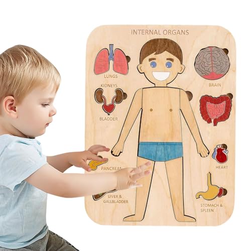 Anatomisches Puzzle, Struktur des menschlichen Körpers, Holzpuzzle für – Lernpuzzle, Teile des menschlichen Körpers, Interaktives Lernpuzzle, für Vorschulalter von Xinhuju