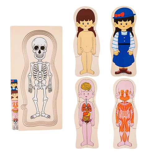 Puzzle des menschlichen Körpers aus Holz, Puzzle der Teile des menschlichen Körpers aus Holz – Anatomie Lernpuzzle Eine großartige Lehrhilfe für Skelettlehrer, dieses Puzzle hat eine Breite Puzzle des menschlichen Körpers aus Holz, Puzzle der Teile des menschlichen Körpers aus Holz – Anatomie Lernpuzzle Eine großartige Lehrhilfe für Skelettlehrer, dieses Puzzle hat eine Breite von Xinhuju