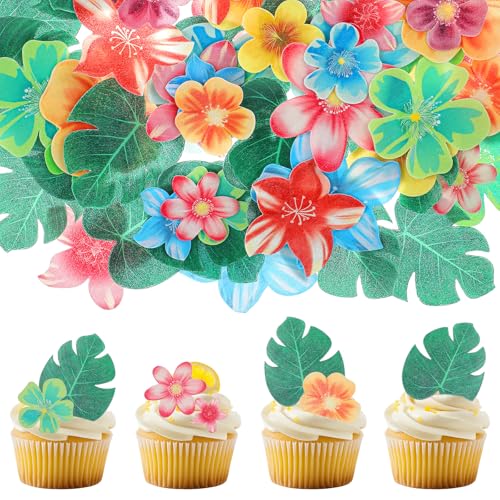 60 Stück Essbare Blüten Tortendeko Essbare Tropische Schildkrötenblätter Cupcake Topper Kuchen Deckel Esspapier Blüten für Torten Dschungel Tortendeko Hochzeit Geburtstag 60 Stück Essbare Blüten Tortendeko Essbare Tropische Schildkrötenblätter Cupcake Topper Kuchen Deckel Esspapier Blüten für Torten Dschungel Tortendeko Hochzeit Geburtstag von Xinjoduz