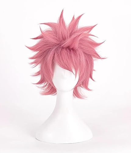 Xinnice Fairy Tail Cosplay Kostüm | Etherious Natsu Dragneel Anime Cosplay | Japanisches Anime Kostüm Set | Halloween Party Outfit/Perücke Für Herren Damen von Xinnice