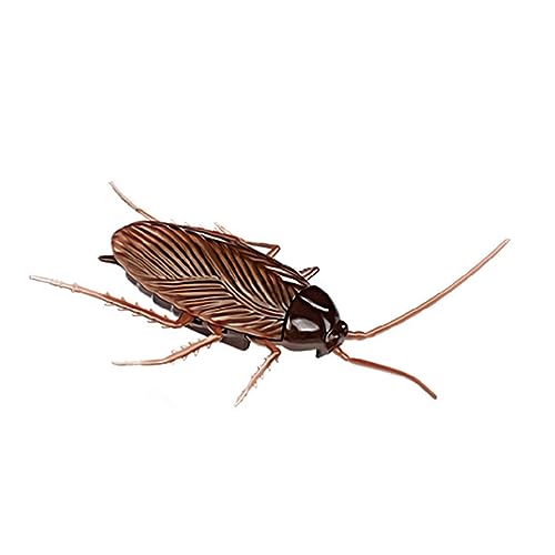 Xinsheinelry Faux Cockroach Interactive Streich Spielzeug Halloween Aprilscherzs Party Requisiten Neuheit Praktische Witz Parodie Requisiten Kinder Spielzeug Spielzeug Xinsheinelry Faux Cockroach Interactive Streich Spielzeug Halloween Aprilscherzs Party Requisiten Neuheit Praktische Witz Parodie Requisiten Kinder Spielzeug Spielzeug von Xinsheinelry