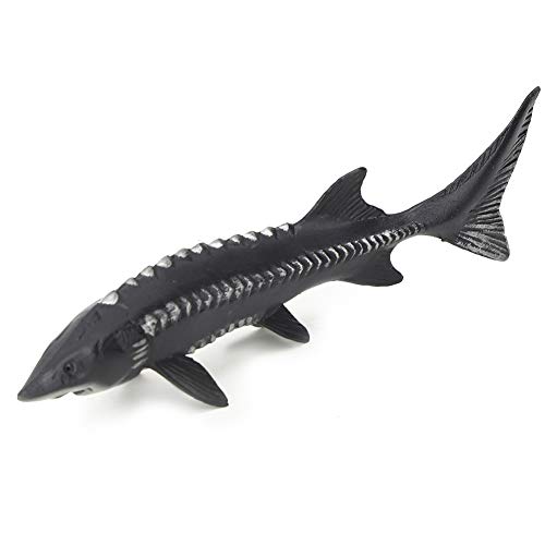 Xiuganpo 6,1 X 1,2 X,8 Zoll Störfische, Sicheres Fischmodell, Anzeige der Innenausstattung des Marktes für Hausdekoration Großes (M-1528 Chinesischer Stör) von Xiuganpo