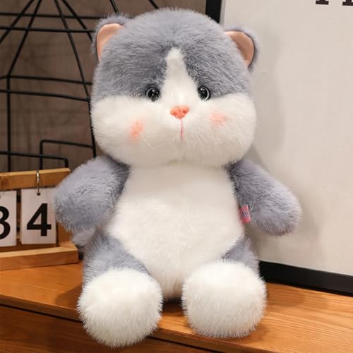 Xiyocadt Katzen Plüschtier, 25cm Süß Plüsch Kuscheltier, Stofftier Tiere Spielzeug Puppen, Plüsenspielzeug Sofakissen Deko Geschenk für Kinder (Grau) von Xiyocadt