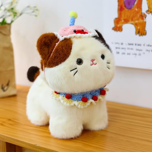 Xiyocadt Kuscheltier Katze, Cat Plushie, Plüsch Katze,Kissen Katze, Kinder Spielzeug Geschenke für Mädchen und Jungen (30CM,C) von Xiyocadt