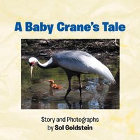 A Baby Crane's Tale von Xlibris