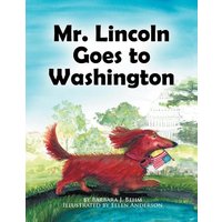 Mr. Lincoln Goes to Washington von Xlibris
