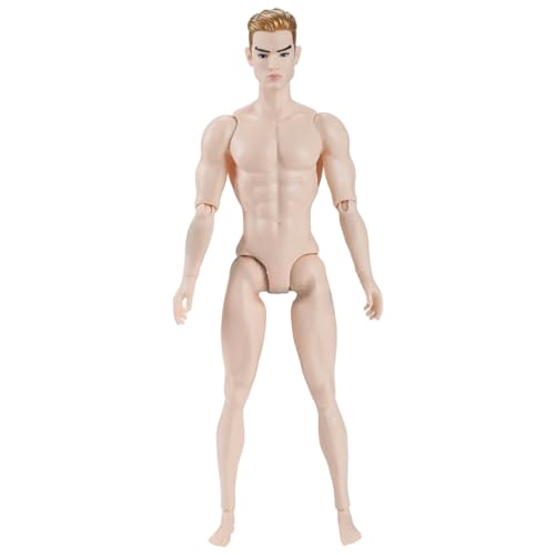 Xoeryoy 1/6 Skala Actionfigur Multi -Gelenk -Fähigkeit männlicher muskulärer Aktion Figure Körper mit Kopf für Display -Puppensammlung, weiß Xoeryoy 1/6 Skala Actionfigur Multi -Gelenk -Fähigkeit männlicher muskulärer Aktion Figure Körper mit Kopf für Display -Puppensammlung, weiß von Xoeryoy