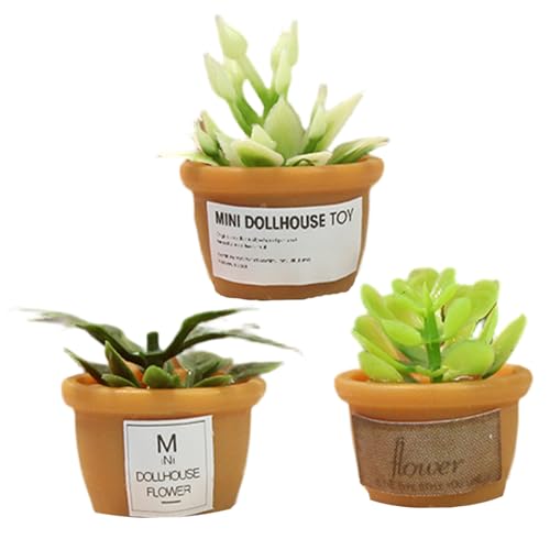 Xoeryoy Dollhouse -Pflanzen 3PCS 3 Stil 1:12 Skalierende Miniaturpflanzen winzig von Xoeryoy