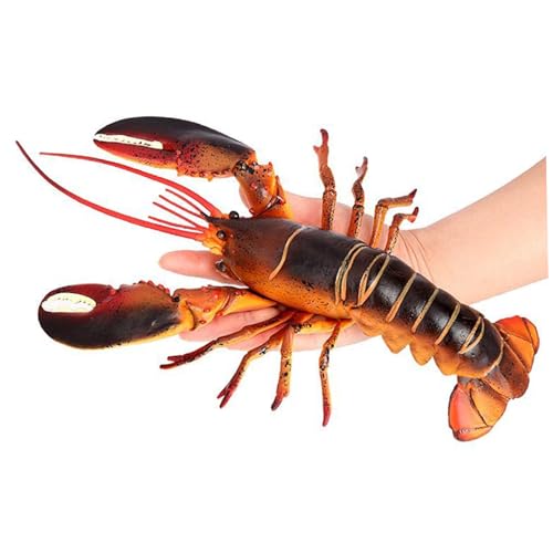 Xoeryoy Hummerspielzeug 13x4, 5 Zoll künstlicher und lebensechter Plastik Hummerstatue -Bildungs- und Lernspielzeug, Geschenke für Kinder von Xoeryoy