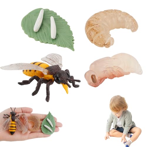 Xoeryoy Lebenszyklusspielzeug für Kinder, Bildungs- und Simulation Bienenspielzeug, Plastikbienenfigur für Jungen, Mädchen von Xoeryoy