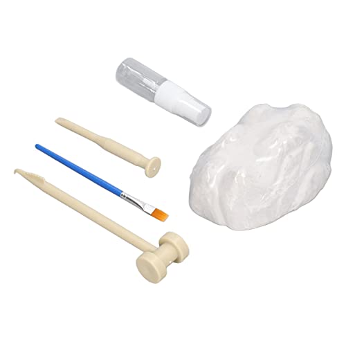Xolsurg Digging Kit Colosseum Simulation Bildungsinstrument für Kinder Xolsurg Digging Kit Colosseum Simulation Bildungsinstrument für Kinder von Xolsurg
