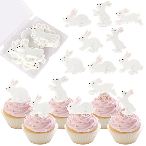 Xsstarmi Essbare Cupcake-Topper mit Hasen-Motiv, essbare Oster-Cupcake-Picks, Hasen-Kuchendekorationen für Happy Easter Thema, Babyparty, Kindergeburtstag, Party, Kuchenzubehör, 60 Stück Xsstarmi Essbare Cupcake-Topper mit Hasen-Motiv, essbare Oster-Cupcake-Picks, Hasen-Kuchendekorationen für Happy Easter Thema, Babyparty, Kindergeburtstag, Party, Kuchenzubehör, 60 Stück von Xsstarmi