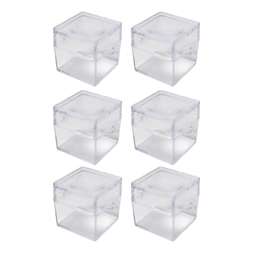 XuQiZZpp Quadratische Käfer-Beobachtungsbox, Vergrößerung, für Klassenzimmer, Naturstudium, einfache Lagerung, Käfer, Behälter, 6 Stück von XuQiZZpp