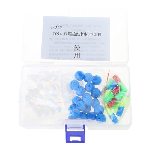 DNA-Strukturmodell, pädagogische DNA-Modelle für Klassenzimmer, Demonstration und Labor DNA-Strukturmodell, pädagogische DNA-Modelle für Klassenzimmer, Demonstration und Labor von Xuancai
