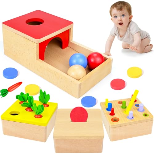 Holzspielzeug Baby, 4 IN 1 Baby Motorik Spielzeug für 6 Monate Jungen und Mädchen, Montessori Spielzeug ab 1 Jahr Sortierspiel Holzpuzzle für Kinder Geburtztag Geschenk New Jahr Geschenk von XunHe