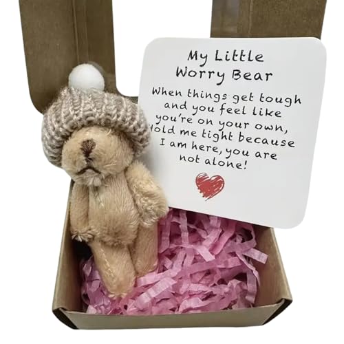 Xunzhi Sorgenbär-Umarmung in einer Box, kleiner Taschenbär-Umarmung in einer Box, 1 Set Mini-Sorgen-B-Ohr mit inspirierender Karte, Mini-W-orry B-Ohr, Plüschtasche mit Gedanken-an dich, kleines von Xunzhi