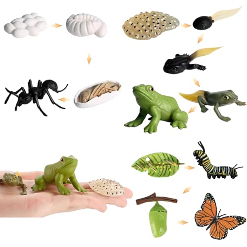 Xweptuy 3 Set Life Cycle Toys für Kinder, Frosch -Ameisen -Butterfly -Lebenszyklus -Kit, Plastiktierfiguren, Frühes Projekt Spielzeug für Bildungswissenschaften für Geschenke Xweptuy 3 Set Life Cycle Toys für Kinder, Frosch -Ameisen -Butterfly -Lebenszyklus -Kit, Plastiktierfiguren, Frühes Projekt Spielzeug für Bildungswissenschaften für Geschenke von Xweptuy