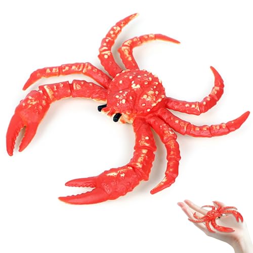 Xweptuy King Crab Figur künstlicher realistischer 3, 5 x 4 Zoll gefälschte Krabben robuste Kunststoff -Tier Figuren Interaktive Bildungsspielzeug Geschenke für Kinder von Xweptuy