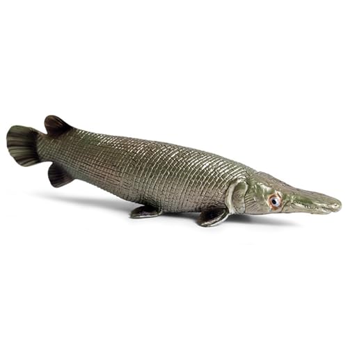 Xweptuy Sea Animal Toys Realistic Plastic Fish Tierfiguren Simulierte Ozeanspielzeugmodell Dekoration Frühes Bildungs ​​Meer Kreaturen Spielzeug für Kinder Kleinkinder von Xweptuy