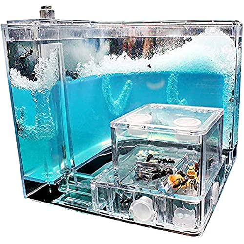 Ameisenfarm Castle Translucent Gel Ameisenzucht-Set, Ameisenlebensraum Wissenschaft Lernset, Mini-World Ameisen Ameisenfarm Castle Translucent Gel Ameisenzucht-Set, Ameisenlebensraum Wissenschaft Lernset, Mini-World Ameisen von XzhixiangKing