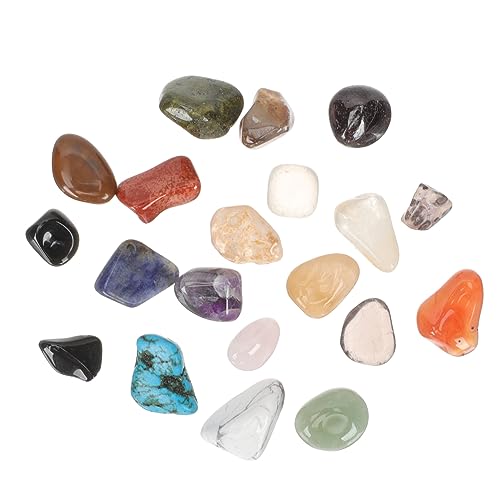 20 Stück Teiliges Polierte Steine für Tumbled Crystals Mineralien mit Aufbewahrungsbox Lehrmaterial für Naturkunde und Kreative Projekte von YARNOW