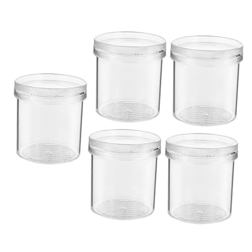 5 Stück Teiliges Insekten Beobachtungsbox mit Lupe Vergrößerungsglas für Wissenschafts und Erkundungswerkzeug für Outdoor Aktivitäten und Lernspiele von YARNOW