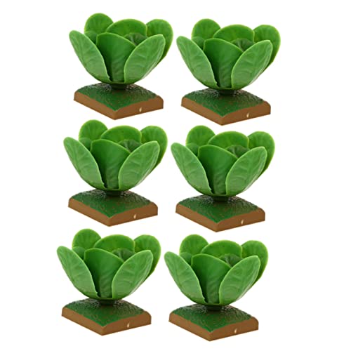 YARNOW 6 Stück Kunststoff Gemüseimitationsmodell Realistisches Spielzeug für Kinder Lernspielzeug und Schreibtischschmuck für Kreative Rollenspiele von YARNOW