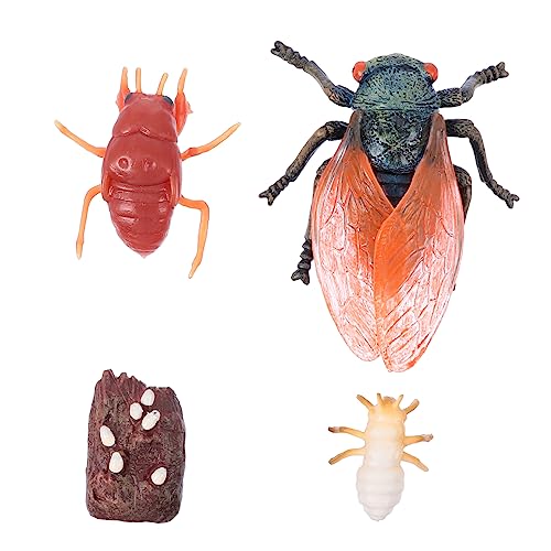 YARNOW 1 Satz Evolutionsmodell Tierlebenszyklus Spielzeugset Realistische Tierfiguren für Bildung und Garten Dekoration Pädagogisches zur des Wissens Tieren YARNOW 1 Satz Evolutionsmodell Tierlebenszyklus Spielzeugset Realistische Tierfiguren für Bildung und Garten Dekoration Pädagogisches zur des Wissens Tieren von YARNOW