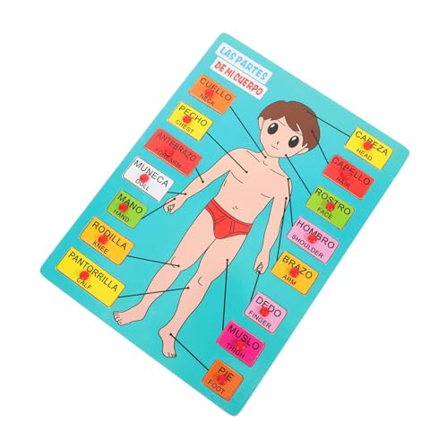 YARNOW 1 Satz Holzpuzzle für Spanisches Körperteil Erkennungsspielzeug Montessori Lernspielzeug für Vorschulkinder Wahrnehmung von Körperstrukturen und Positionen von YARNOW
