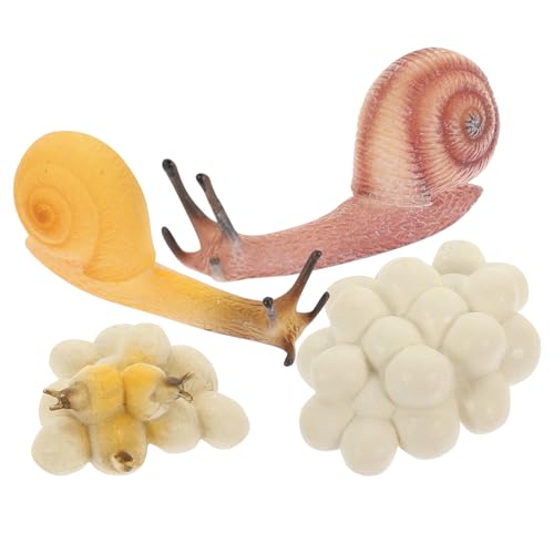 YARNOW 1 Satz Lifelike Schneckensimulation Spielzeugset Interaktive Modelle für Wachstum von Schnecken für Naturwissenschaftliche Bildung und Kreatives Spiel von YARNOW