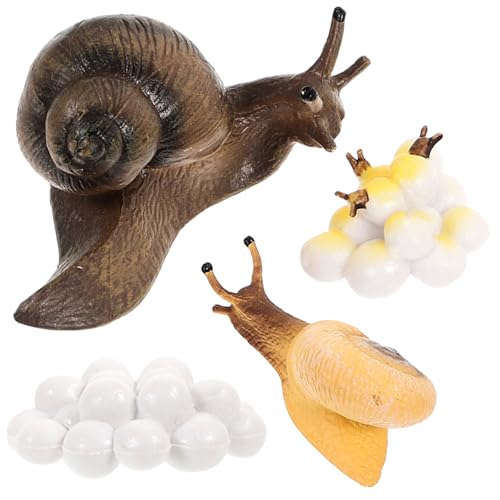 YARNOW 1 Satz Schneckenwachstumszyklus Figuren Lehrspielzeug für Teiliges zur Biologischen Bildung und Modellierung des Lebenszyklus von Schnecken von YARNOW