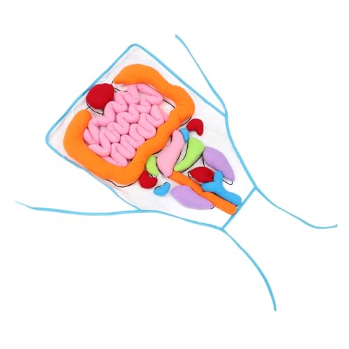 YARNOW 1 Satz Schürze für Lernspielzeug zum Erkennen Menschlicher Frühe Bildung Werkzeug für Vorschule und Kindergarten Komfortables Hautfreundliches Material für Geburtstage und YARNOW 1 Satz Schürze für Lernspielzeug zum Erkennen Menschlicher Frühe Bildung Werkzeug für Vorschule und Kindergarten Komfortables Hautfreundliches Material für Geburtstage und von YARNOW