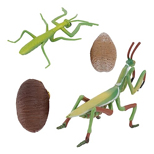 YARNOW 1 Satz Simuliertes Tiermodell Spielzeugset Lebenszyklus Figuren für Pädagogisches Hand Augen Koordination Robustes Material für Lernspiele zu Hause Klassenzimmer YARNOW 1 Satz Simuliertes Tiermodell Spielzeugset Lebenszyklus Figuren für Pädagogisches Hand Augen Koordination Robustes Material für Lernspiele zu Hause Klassenzimmer von YARNOW