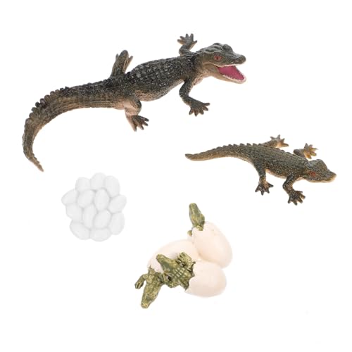YARNOW 1 Satz Wachstumszyklus Modell Realistische Lebenszyklusfigur für Tierfiguren Lernspielzeug Konzentration und Kreativität für Geburtstage und Feiertage YARNOW 1 Satz Wachstumszyklus Modell Realistische Lebenszyklusfigur für Tierfiguren Lernspielzeug Konzentration und Kreativität für Geburtstage und Feiertage von YARNOW