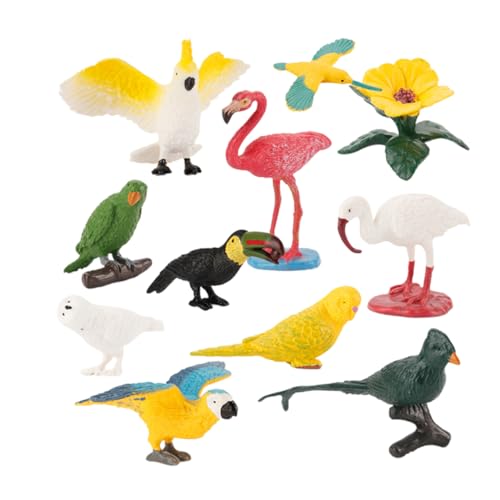 YARNOW 10 Stück Teiliges Mini Vogelmodell Realistische Simulation von Papagei Flamingo und Anderen Vögeln Lernspielzeug für Kreativität und Farberkennung Zufällige Farbe YARNOW 10 Stück Teiliges Mini Vogelmodell Realistische Simulation von Papagei Flamingo und Anderen Vögeln Lernspielzeug für Kreativität und Farberkennung Zufällige Farbe von YARNOW