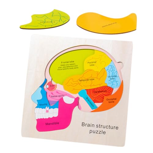 YARNOW 1Satz Holz Gehirnstruktur Puzzle Lernspielzeug für Kreatives Gehirn Matching Logischen Denkfähigkeiten und Kognitiven Entwicklung für Jungen YARNOW 1Satz Holz Gehirnstruktur Puzzle Lernspielzeug für Kreatives Gehirn Matching Logischen Denkfähigkeiten und Kognitiven Entwicklung für Jungen von YARNOW