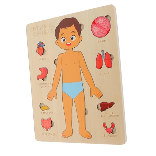 YARNOW 1Satz Holzkörper Puzzle für Pädagogisches Puzzle Körperbewusstsein und Kognitiven Fähigkeiten für Jungen und Jahren Lehrhilfsmittel von YARNOW