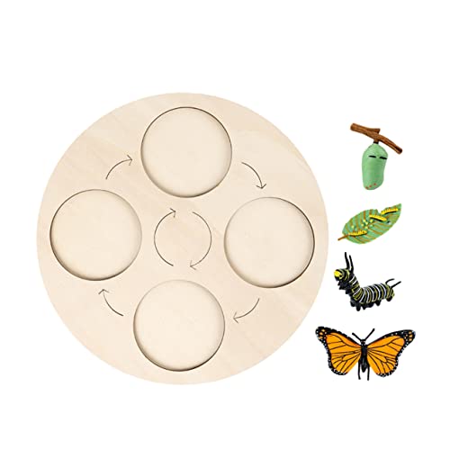 YARNOW 1Satz Insekten Lebenszyklus Modellset Für Pädagogisches Mit Schmetterlingen Tierzyklusfiguren Zur Entwicklung Und Bildung Für Jungen YARNOW 1Satz Insekten Lebenszyklus Modellset Für Pädagogisches Mit Schmetterlingen Tierzyklusfiguren Zur Entwicklung Und Bildung Für Jungen von YARNOW