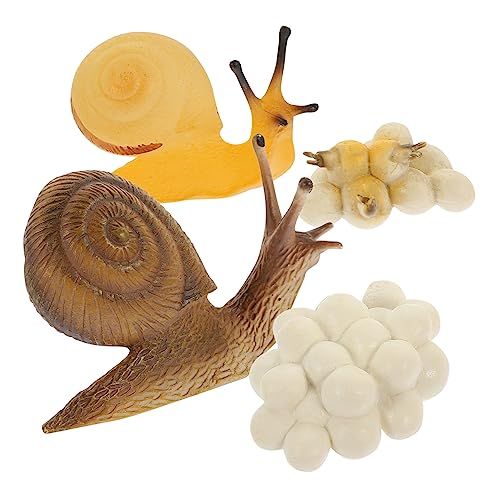 YARNOW 1Satz Kreatives Schneckenwachstumsmodell für Simuliertes Schneckenspielzeug zur Frühen Bildung und Naturforschung Lustiges Lernspielzeug zur Biologischer Wahrnehmung YARNOW 1Satz Kreatives Schneckenwachstumsmodell für Simuliertes Schneckenspielzeug zur Frühen Bildung und Naturforschung Lustiges Lernspielzeug zur Biologischer Wahrnehmung von YARNOW