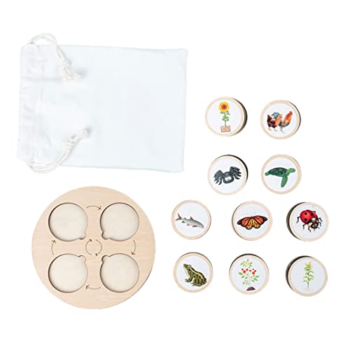 YARNOW 1Satz Lebenszyklus Tiere Modelle Holzspielzeug für Puzzle mit Aufbewahrungstablett für Frühe Lernspiele und zu Geburtstagen und Feiertagen YARNOW 1Satz Lebenszyklus Tiere Modelle Holzspielzeug für Puzzle mit Aufbewahrungstablett für Frühe Lernspiele und zu Geburtstagen und Feiertagen von YARNOW