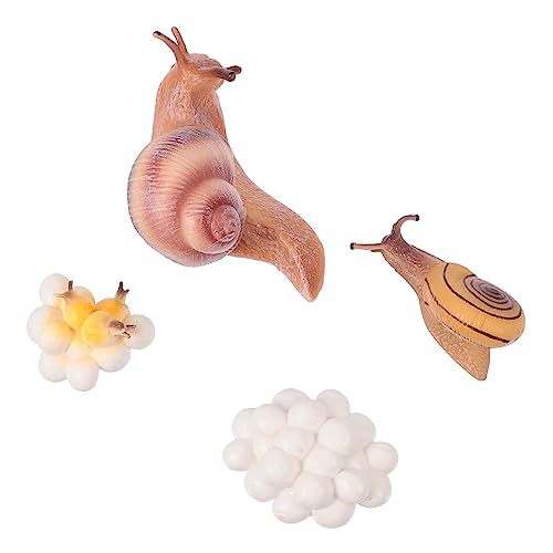 YARNOW 1Satz Simulierte Tiermodelle Aus Umweltfreundlichem Material Lehrspielzeug Für Darstellung des Lebenszyklus Von Tieren Fotos Und Kreative Spiele von YARNOW