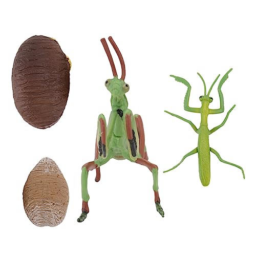 YARNOW 1Satz Tier Figurenspielzeug Wachstumszyklus Modell Schnecke Realistische Insekten Actionfigur Für Kindergarten Und Kreative Spiele von YARNOW
