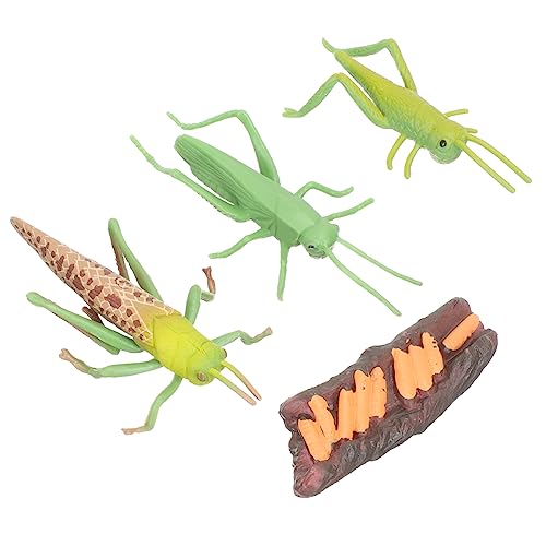 YARNOW 1Satz Tierlebenszyklus Modelle Tierfiguren Für Kognitive Lernspielzeuge Tierverständnis Schnecke Für Vorschule YARNOW 1Satz Tierlebenszyklus Modelle Tierfiguren Für Kognitive Lernspielzeuge Tierverständnis Schnecke Für Vorschule von YARNOW