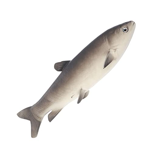 YARNOW 1Stück Künstliches Fischspielzeug Realistische Simulationsfische Für Dekoration Tischdeko Für Kreative Spielideen YARNOW 1Stück Künstliches Fischspielzeug Realistische Simulationsfische Für Dekoration Tischdeko Für Kreative Spielideen von YARNOW